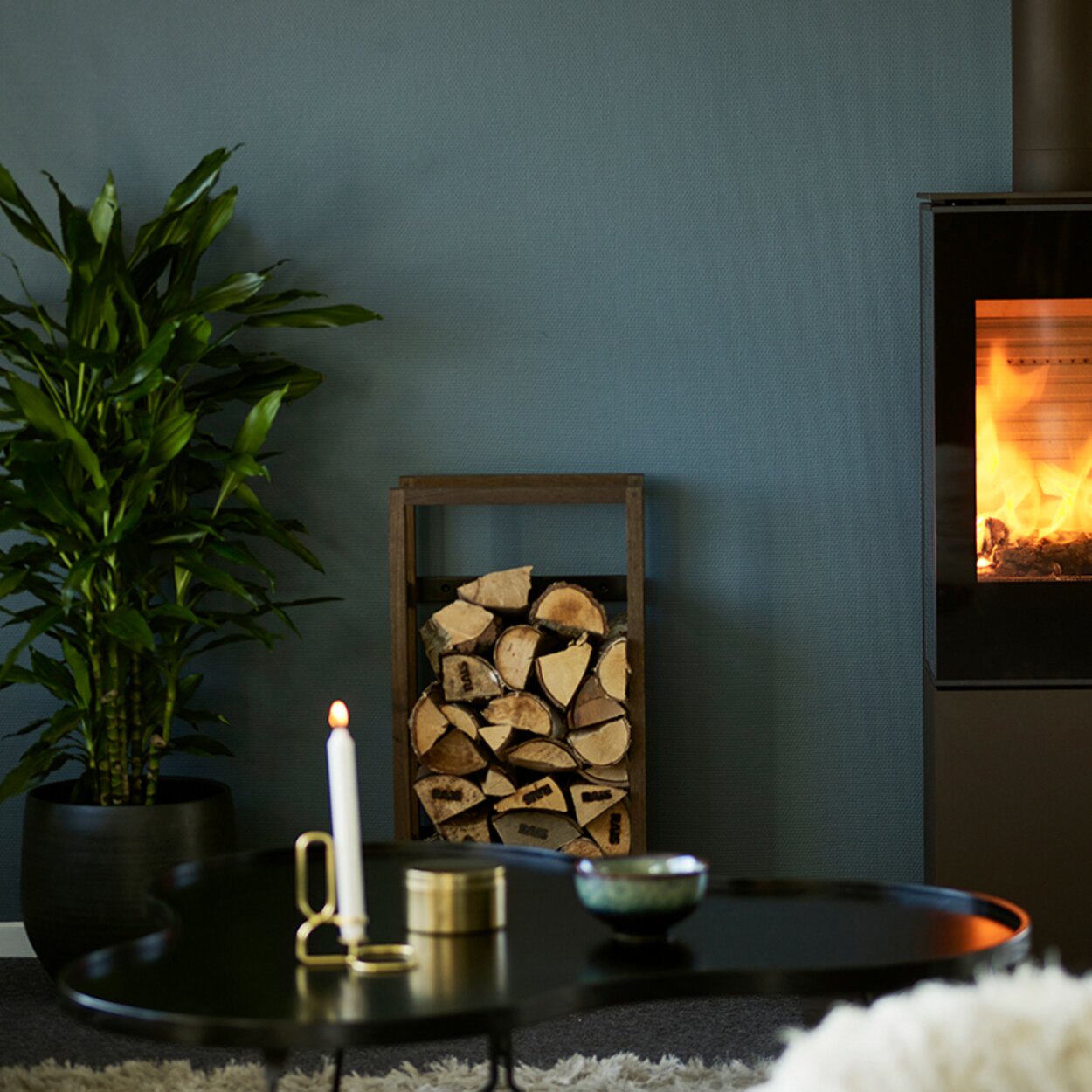 Wood stove NEXO 120 in black with glass door and quiet fire in front of a petrol-coloured wall in a stylish home